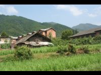 The surrounding area.
