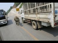 Guizhou traffic jam.