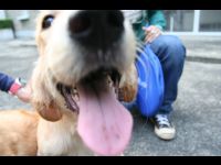 A close call for the camera.