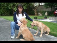 Although Dorothy is smaller than Jackie, we asked her to pose with the puppies to give you an idea of their immense size.