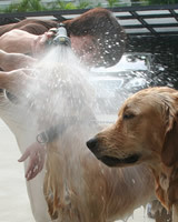 Bath Time
