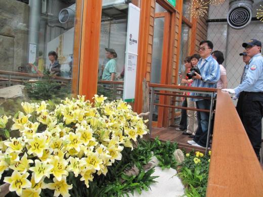 Taiwan Flower Exhibition