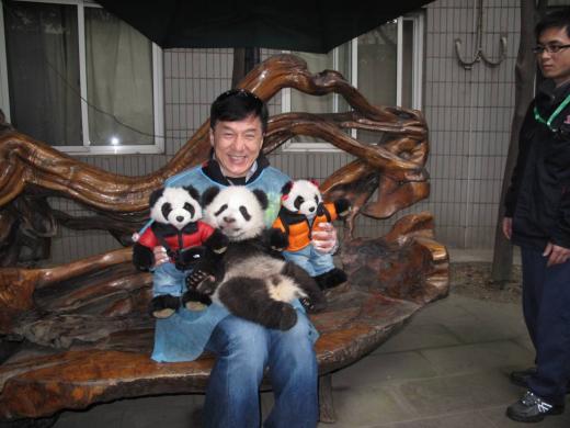 Jackie Visits Pandas in Chengdu