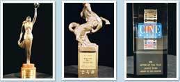 1995 achievements